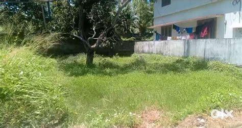 3.5 cent Residential plot for sale Kollamthoppu lane, Karumom - Lands ...