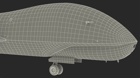 3D model High Altitude Long Endurance Patrol UAV Rigged for Maya | 3D ...