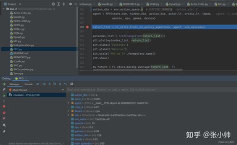 Poo13 Code 的图像结果