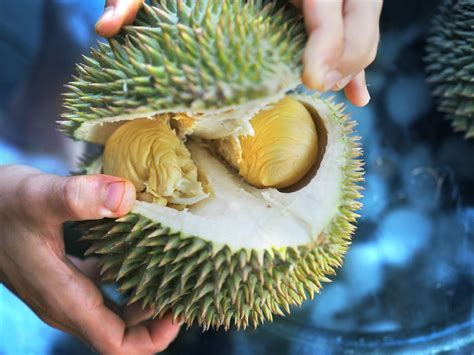 9 Excitingly Delicious Durians For Your 2019 Travel Inspo - Year of the Durian