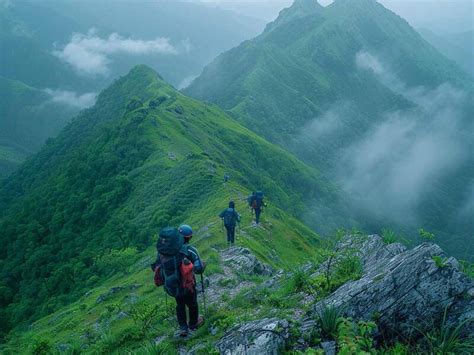 Explore 6 Best Not So Popular Yet Mesmerizing And Beautiful Treks In Ooty