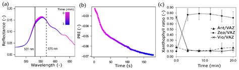 Impact of Structural, Photochemical and Instrumental Effects on Leaf ...