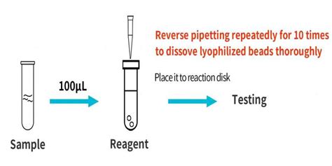 Progesterone Challenge Test 的图像结果