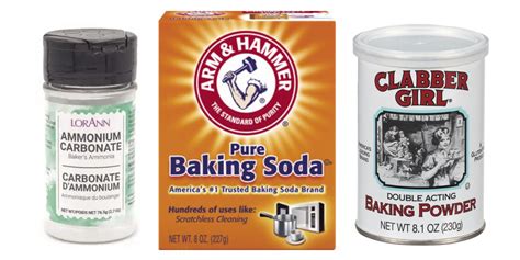 CHEMICAL LEAVENING AGENTS: Baker's Ammonia (Hartshorn), Baking Soda ...