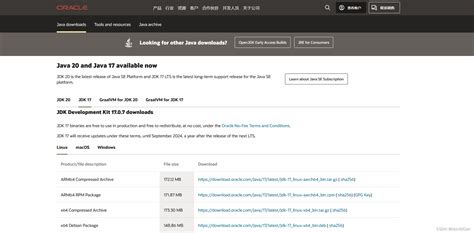 Only One Command Java 1.17.1 的图像结果