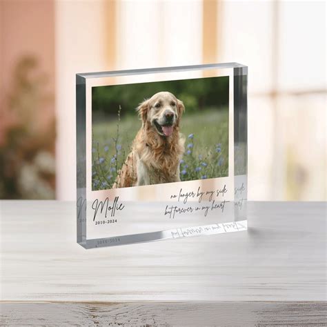 Personalized Pet Memorial Plaque, Photo Pet Memorial Gift, Pet Loss ...