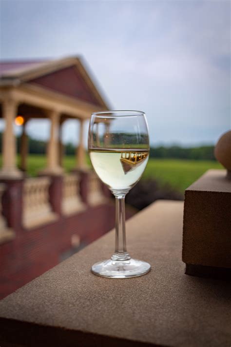 Grand River Valley Winery Spotlight: South River Vineyards – Lilacs ...