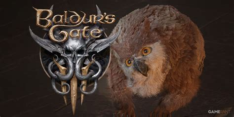 Every Side Quest in Baldur's Gate 3