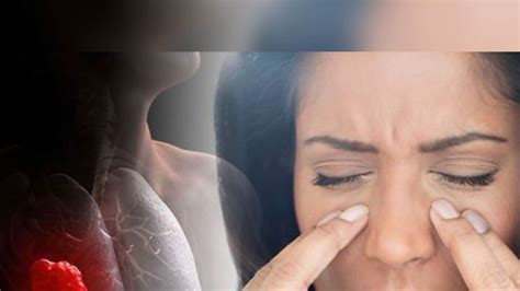 Lungs Infections: జలుబు, దగ్గు తగ్గడం లేదా ?.. ఊపిరితిత్తుల్లో సమస్య ...
