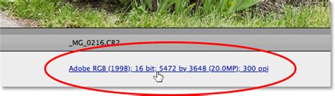 Image result for Camera Row Setting CS6