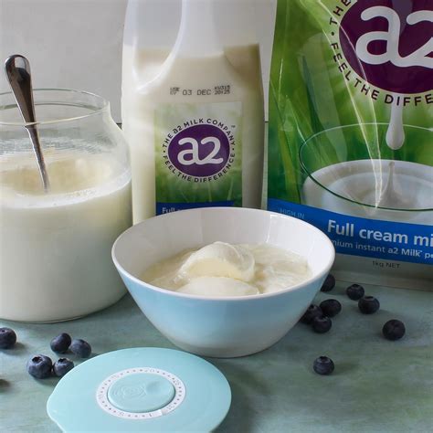 Easy to digest homemade A2 milk yogurt recipe - Luvele AU