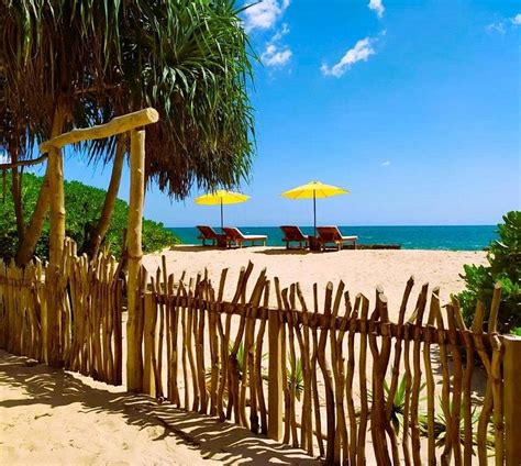 SLEEPING ELEPHANT BEACH RESORT (Rekawa) - Hotel Reviews, Photos, Rate ...