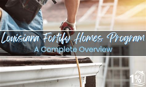 Fortify Program 的图像结果