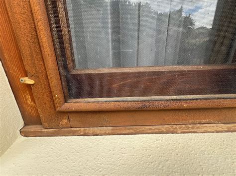 Image result for How to Restore Window Timber Frame