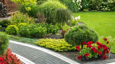 How To Edge And Define Garden Beds For A Polished Finish (Plus 11 Tips ...