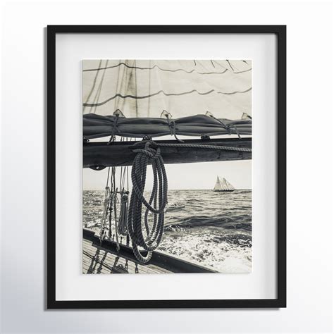 Birch Lane™ Dani Day at the Cape by Danita Delimont - Picture Frame Photograph | Wayfair