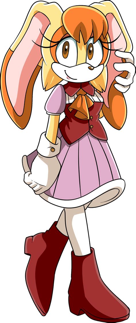 Vanilla the rabbit new dress 2 | Sonic the Hedgehog | Know Your Meme