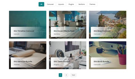 Image result for Divi Portfolio Module