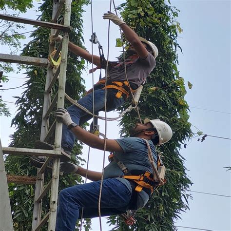 Eduforce | Global Wind Organisation (GWO) Training Programmes