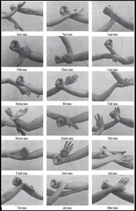 Image result for Tutorial Wing Chun