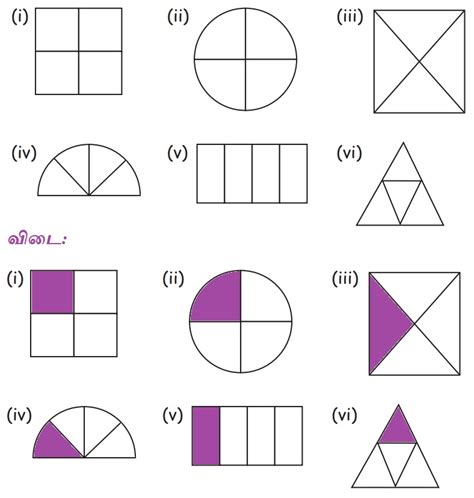 பயிற்சி 5.7 (நான்கில் ஒரு பங்கு) - பின்னங்கள் | பருவம் 2 அலகு 5 | 4 ஆம் ...