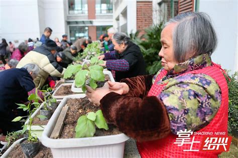 绍兴市社会福利院采用园艺疗法让老人更健康_绍兴网