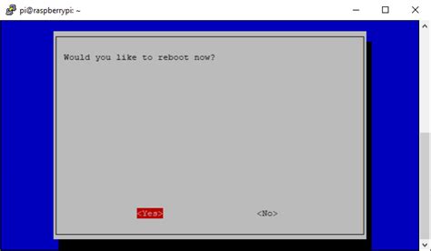 Raspberry Pi RDP Client 的图像结果