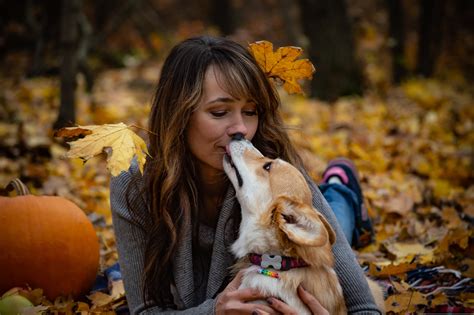 Why Do Dogs Lick You? Reasons, Safety, and When to Worry