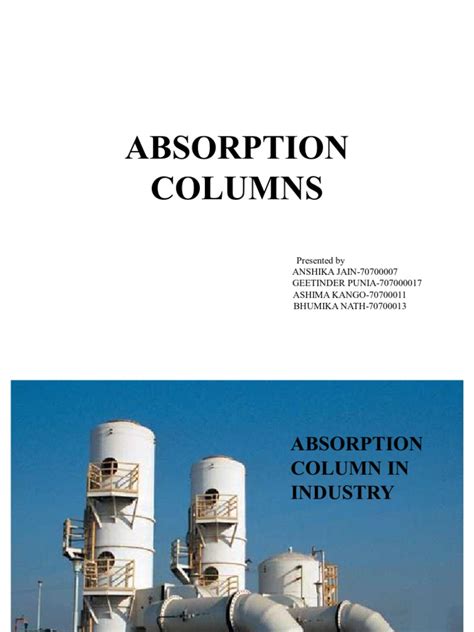 Image result for Absorption Column