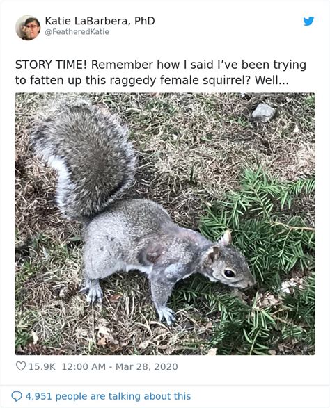 Image result for Girls Running Over Squirrels with Their Cars