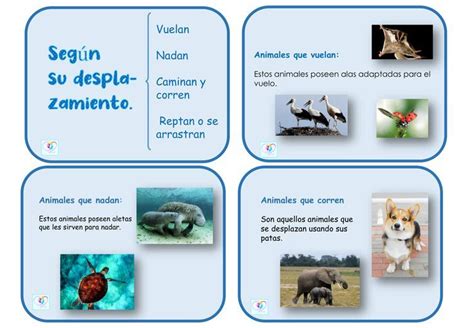 Image result for Timer CSS/HTML