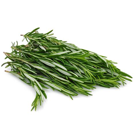 Herb – Rosemary – Village Greens, Charlesworth
