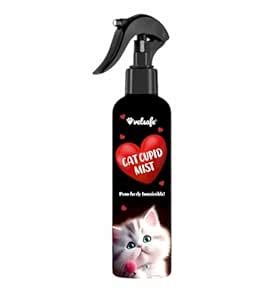 VetSafe Catnip Spray 200 ml| Cat Attractant Spray| Stimulate Playful ...