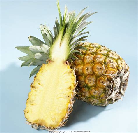 种菠萝有钱赚吗，成本与收益分析 - 农敢网