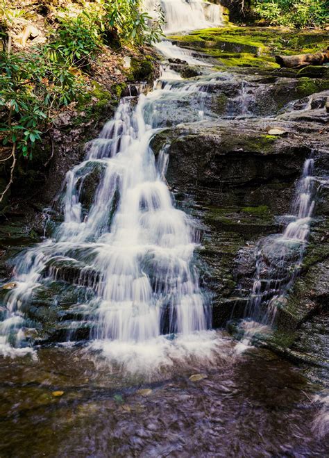 Rattlesnake Creek: Cresco, Pennsylvania : r/Waterfalls