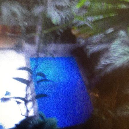 GRAND HOTEL KYRIOS VERACRUZ (Veracruz Municipality) - Hotel Reviews ...