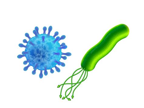Premium Vector | Virus and bacteria difference in structure of the virus and bacteria cells