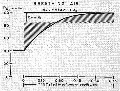 Image result for Diffusing Capacity Equation