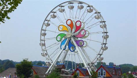 Image result for Circular Motion Examples