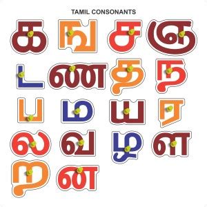 MECDOIT INTERNATIONAL Wooden Puzzle of Tamil Consonant Words for Kids ...