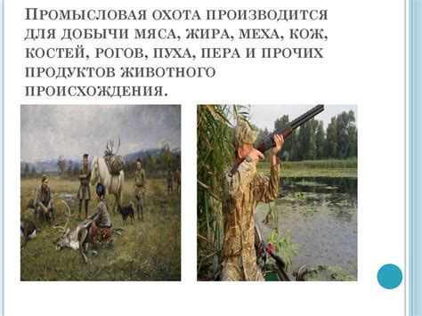 Промысловая охота у разных народов - презентация онлайн