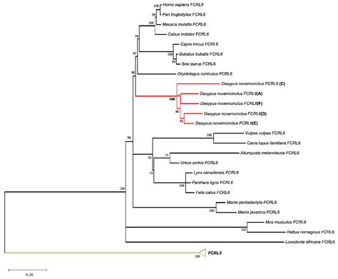 Evidence for Extensive Duplication and Subfunctionalization of FCRL6 in ...