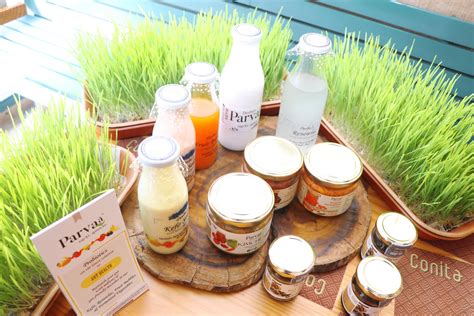 Body Medium …..Wheatgrass the most Alkaline food – Parvaa Immunocare ...