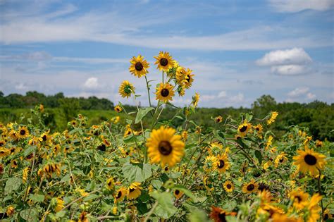 Image result for Reference Frame