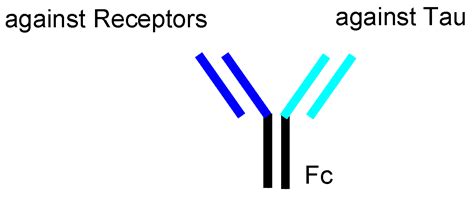 Delivery of Intravenously Administered Antibodies Targeting Alzheimer’s ...