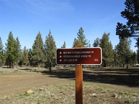 Holly's Horse Tales and Trails: Peterson Ridge Trails, Sisters, Oregon