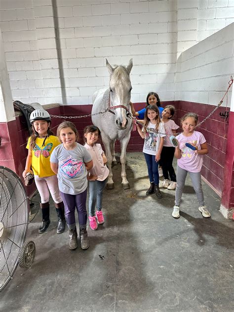 Baymar Farms | Fall Riding Program Registration