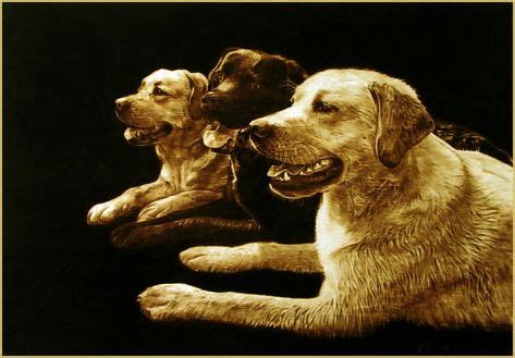 Image result for Pyrography Animals