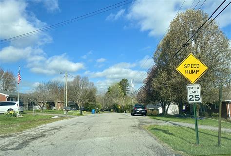 Image result for Design/Implementation Two Humps Process