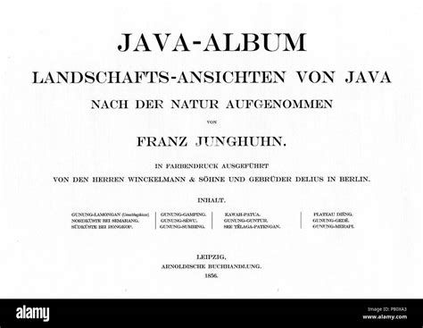 Album Kenyedfun Java 的图像结果